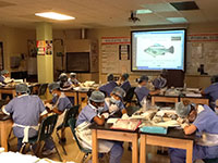 Academies-LWMS-Fish-Dissection-Lab
