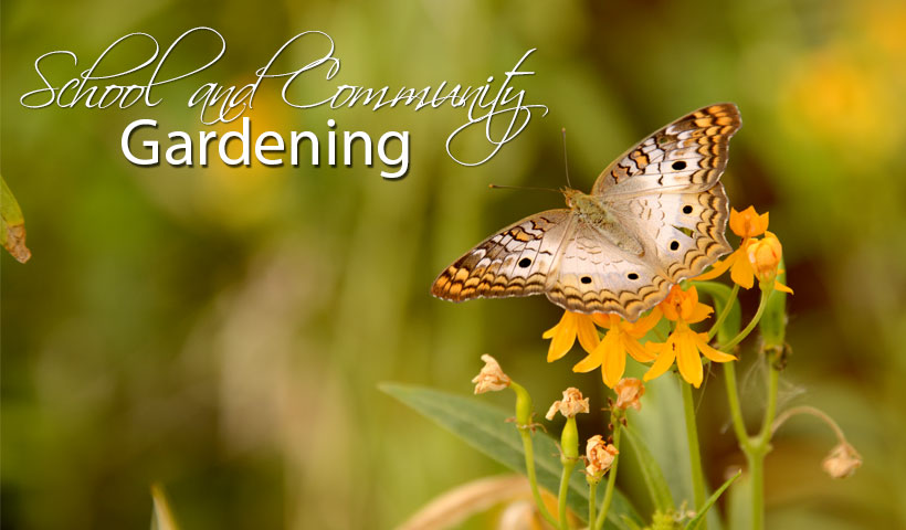 school_community_gardening