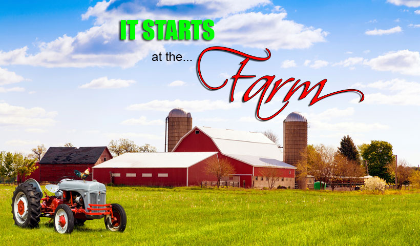 farm-to-school