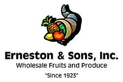 Erneston-&#38;-Sons-Logo