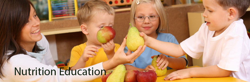 challenges in nutrition education