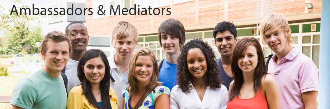 ambassadors-mediators