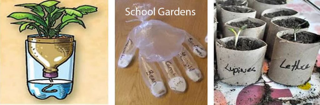 school-gardens